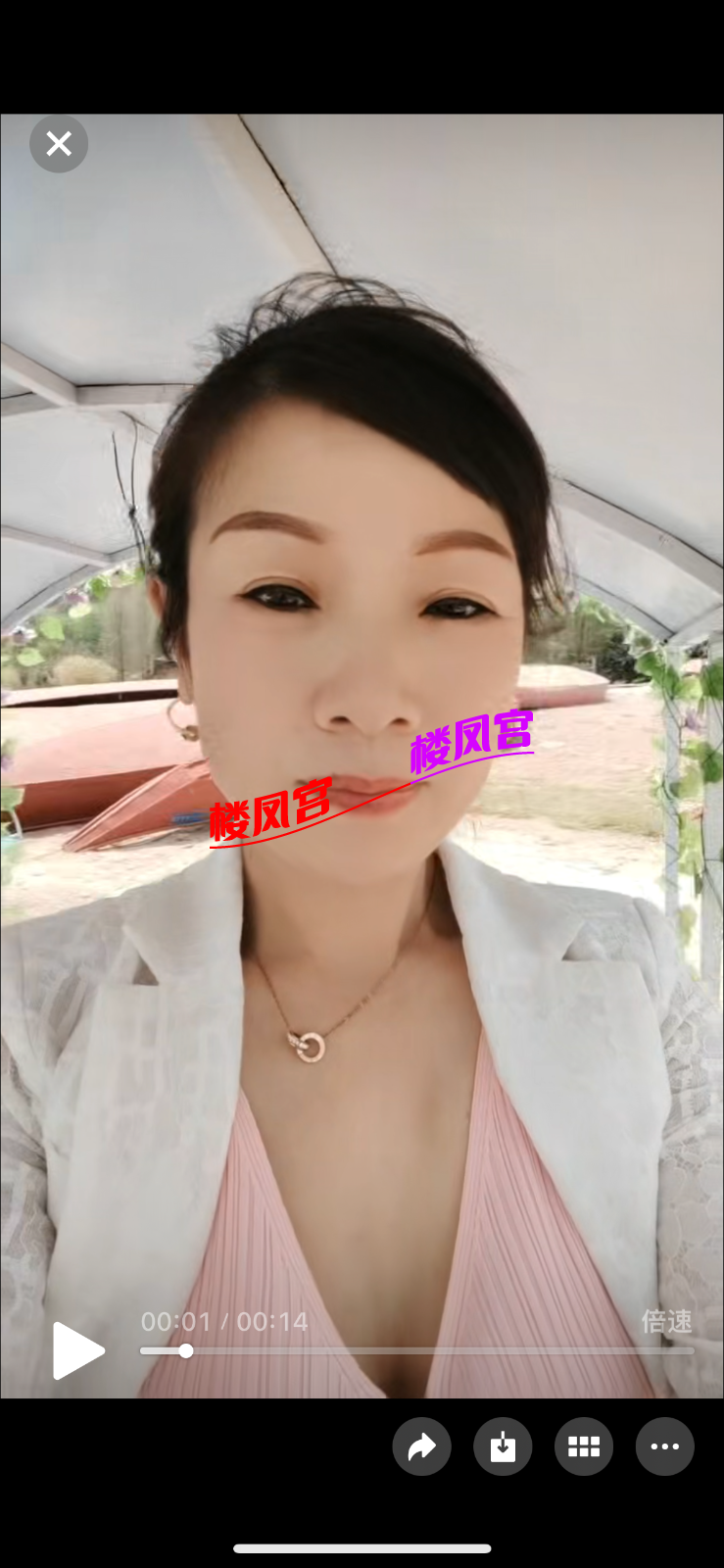 IMG_5962.png