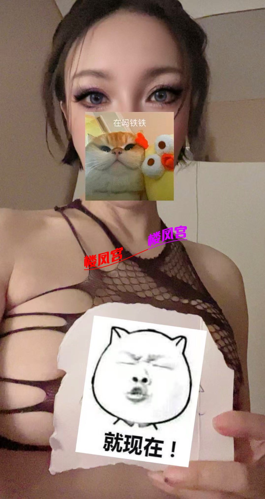 43.jpeg