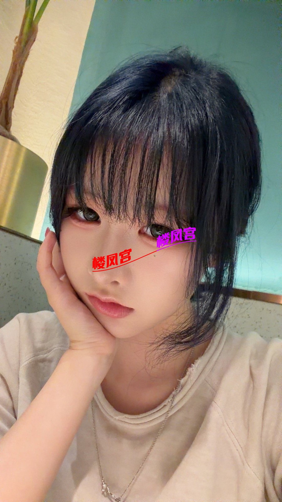 b39e6745e2c3cf3ddd6003dd4c31127d.jpeg