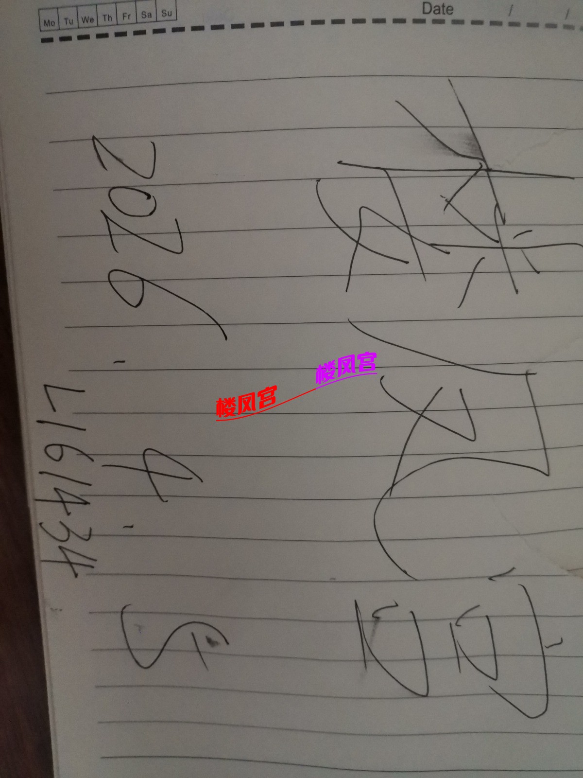 1775372446465.jpg