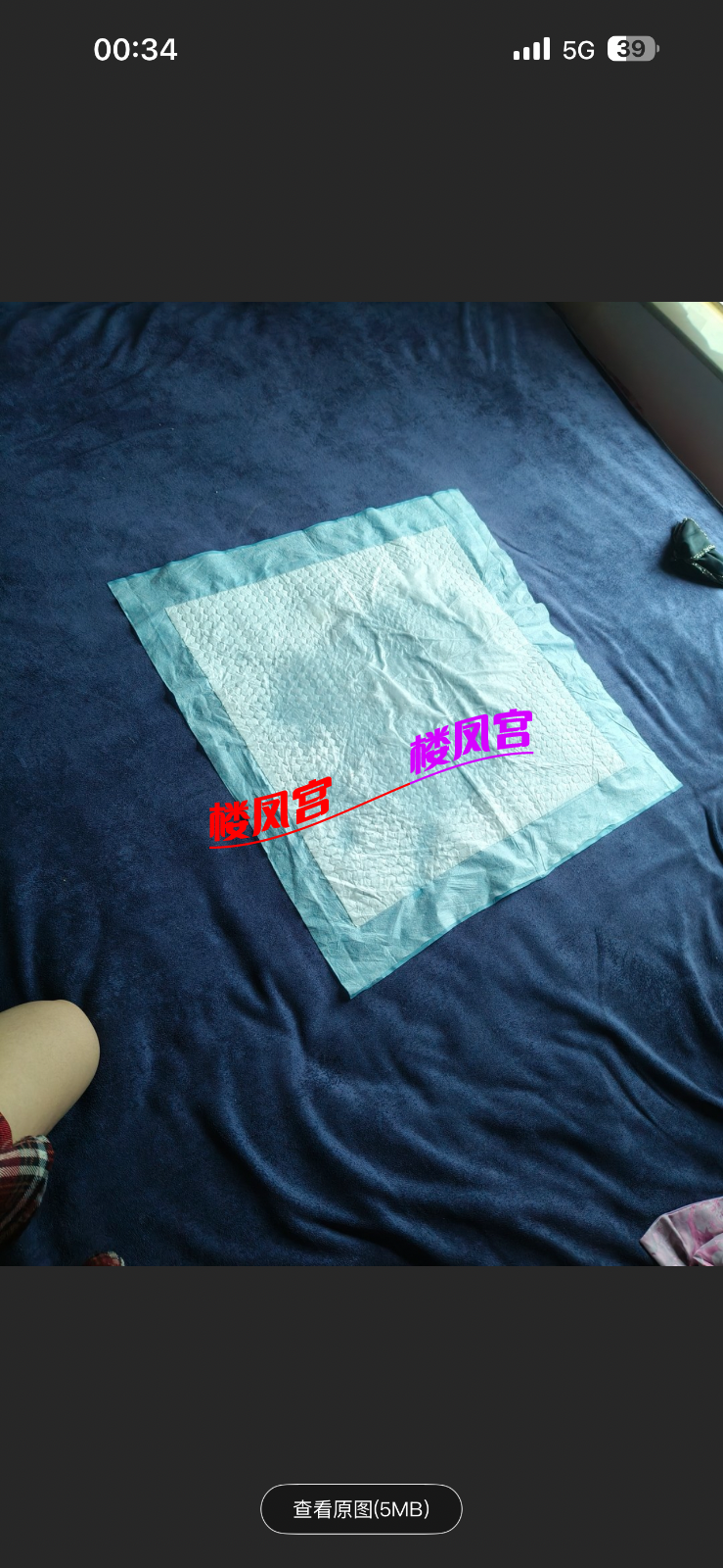 IMG_7557.png