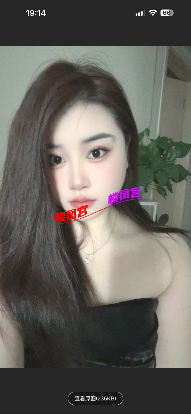 IMG_7586.png