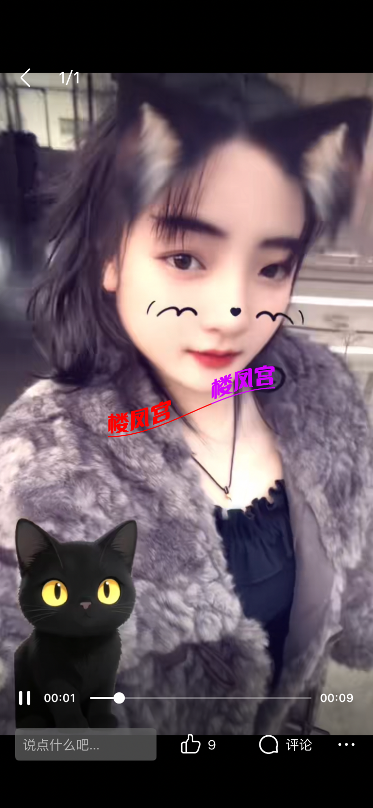 IMG_0687.png