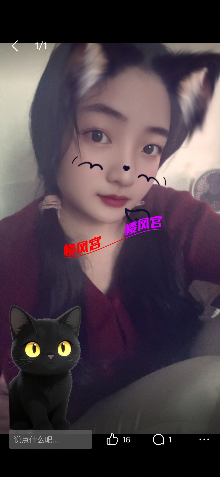 IMG_0686.png