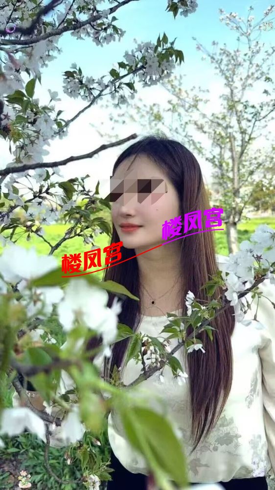 13E069963D7B6D27903D766A91D81FE3.jpg