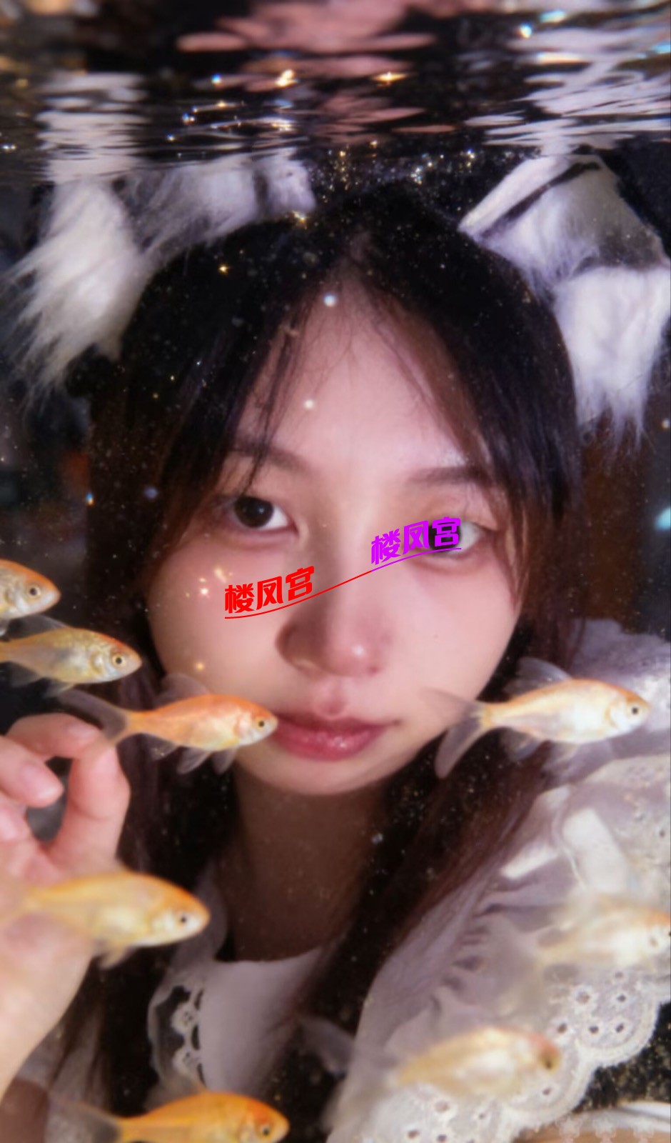 IMG_6366.jpeg
