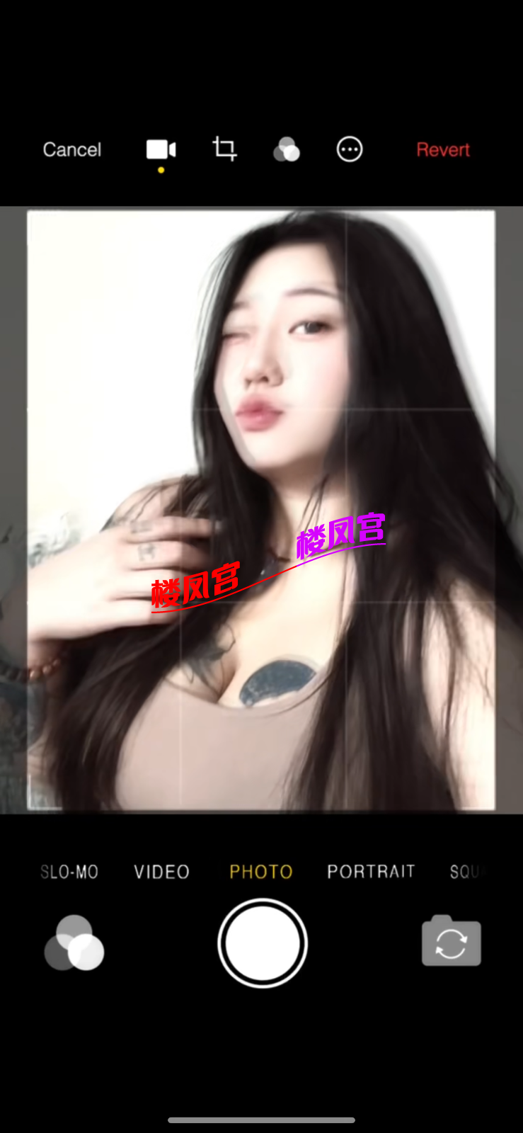 IMG_0085.png