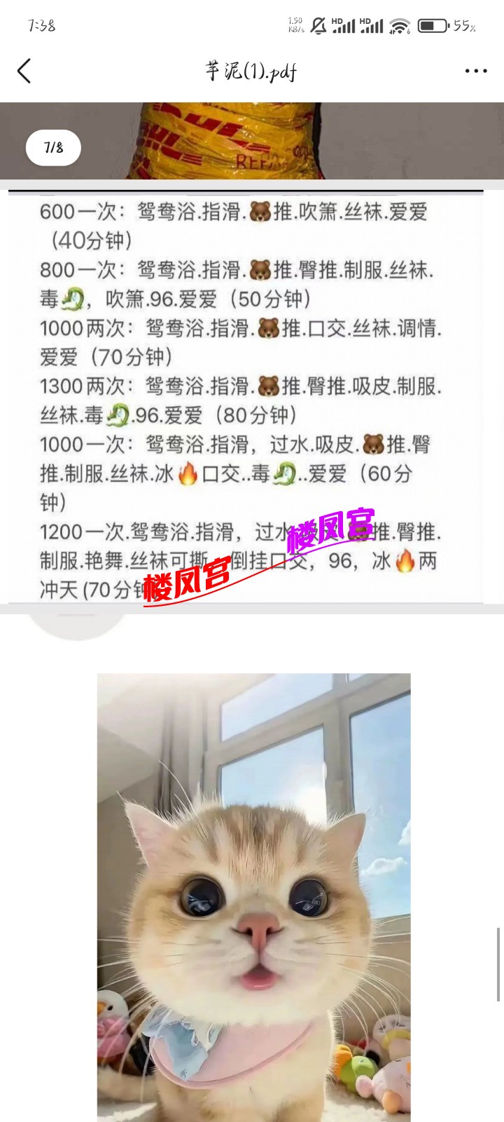 1000228963.jpg