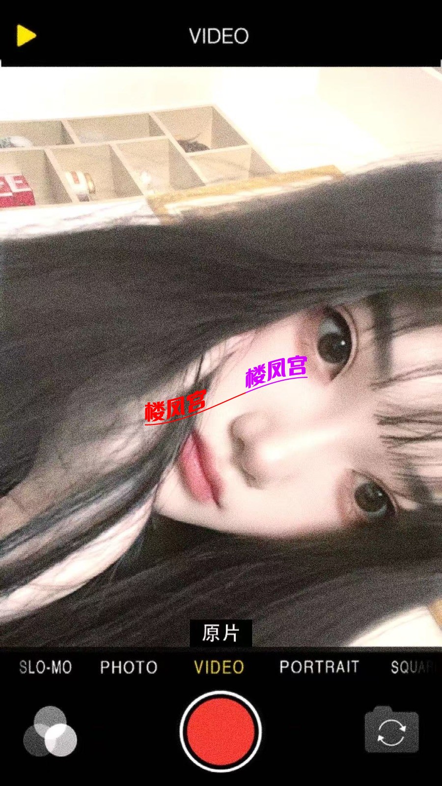mmexport1770013602018.jpg