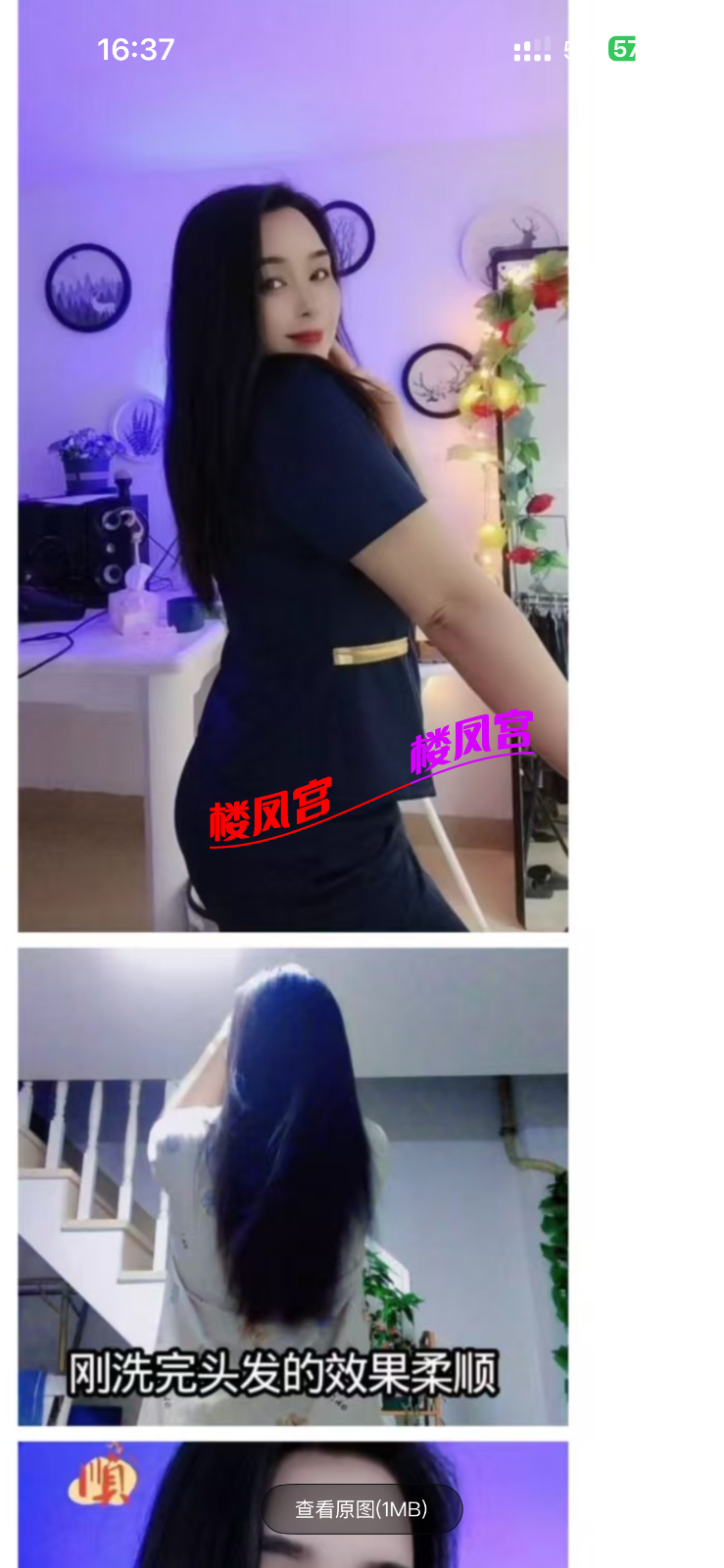 IMG_7439.png