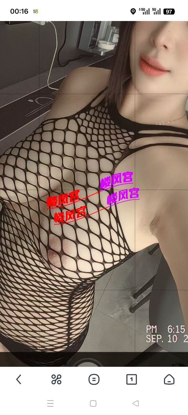 6462.jpg