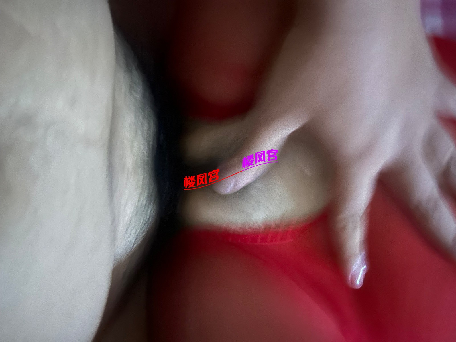 IMG_4456.jpeg