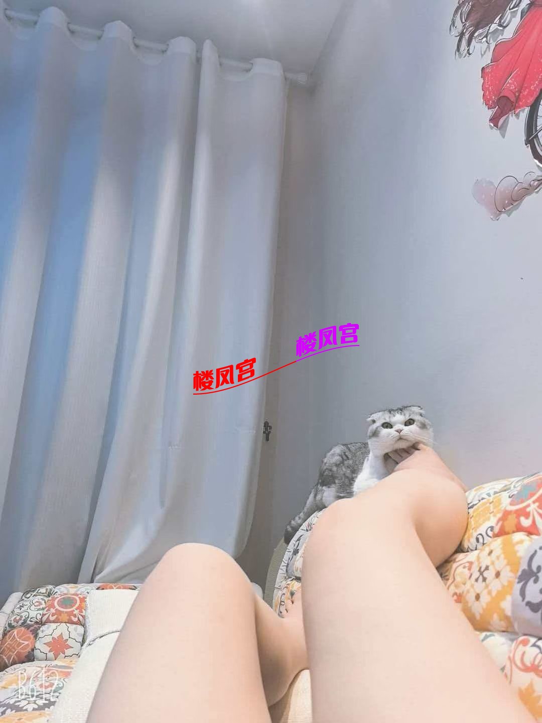 mmexport1789966485565.jpg