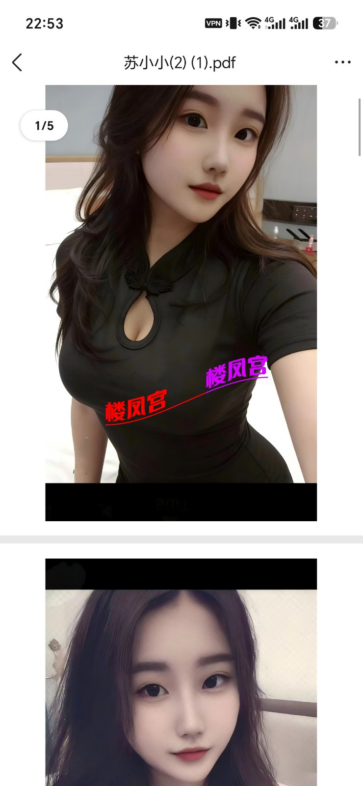 66486.jpg