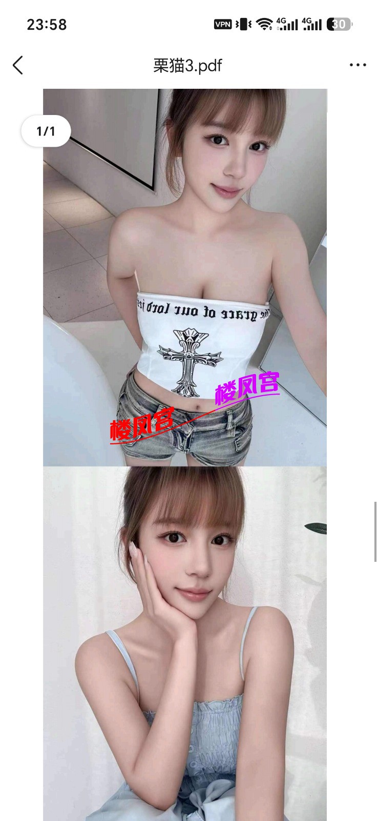 66499.jpg
