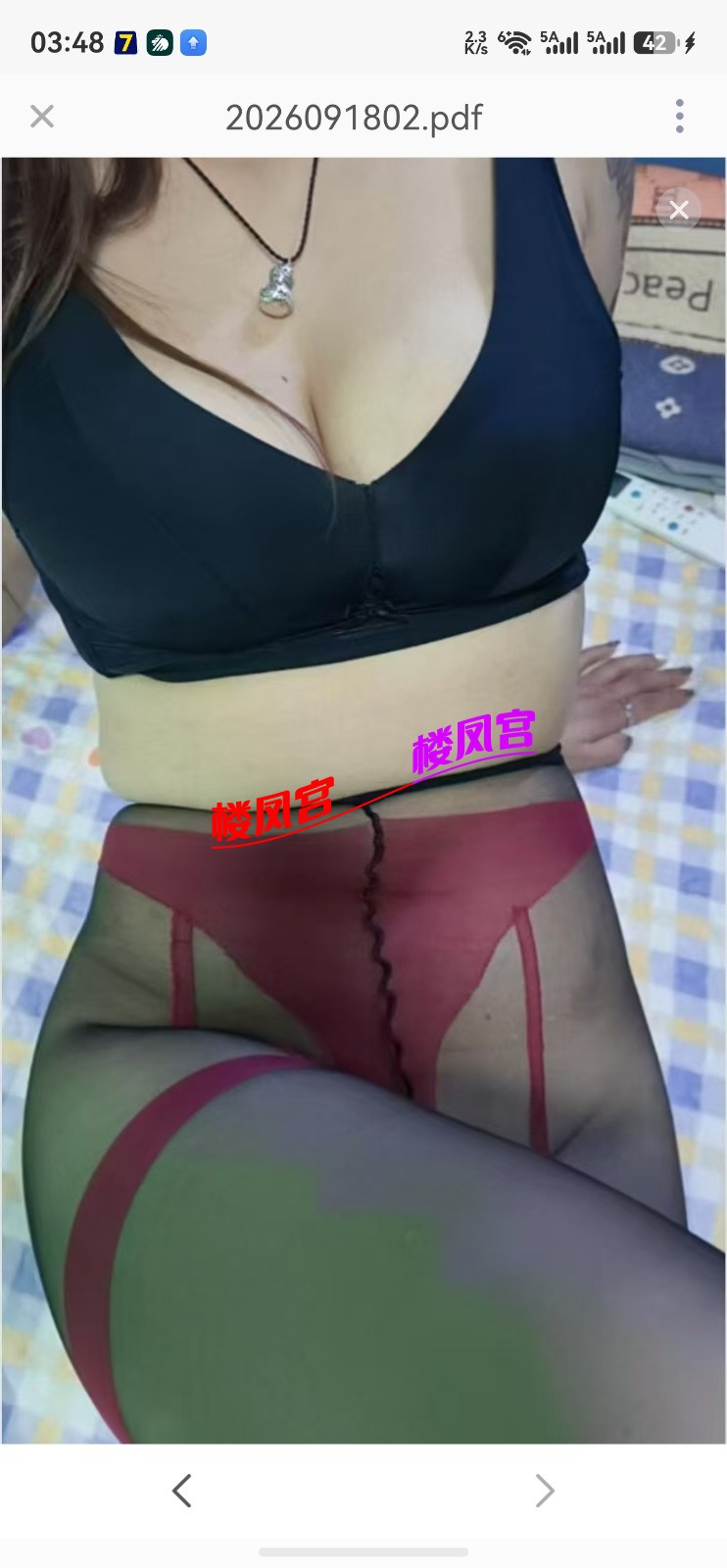 36739.jpg