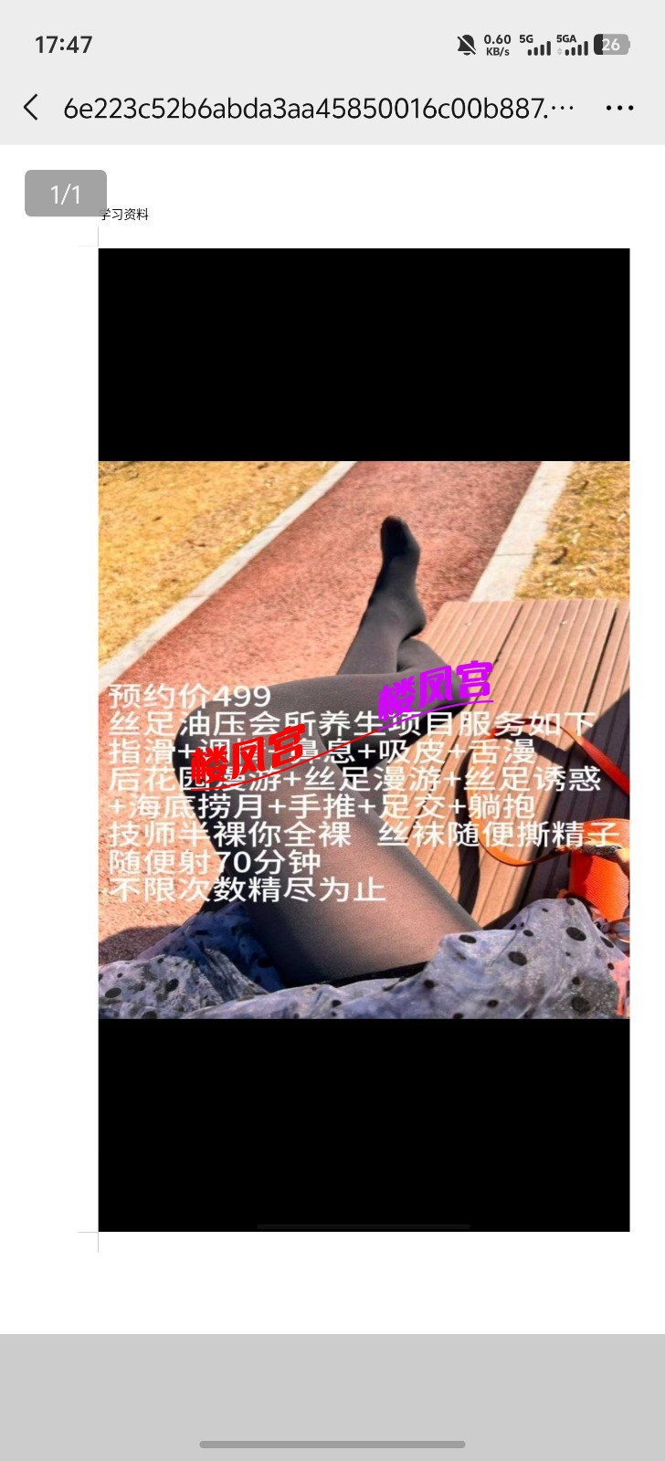 Screenshot_20260924_174757.jpg