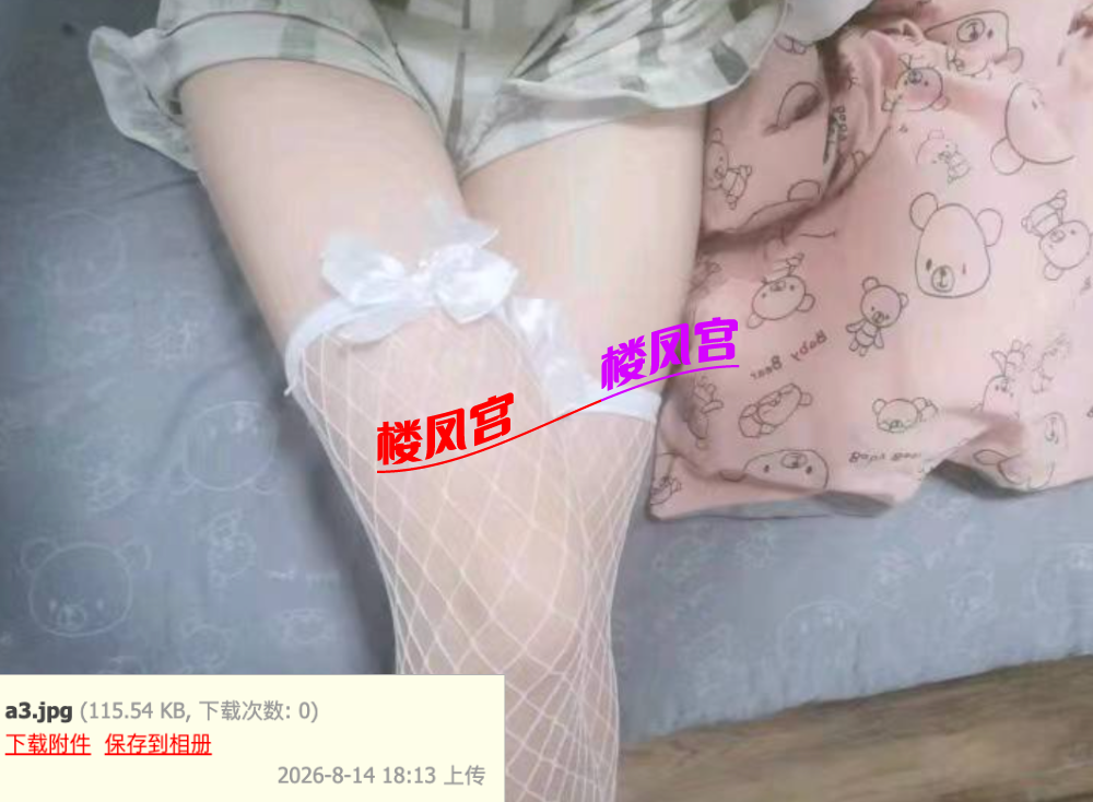 截屏2026-09-25 23.18.28.png