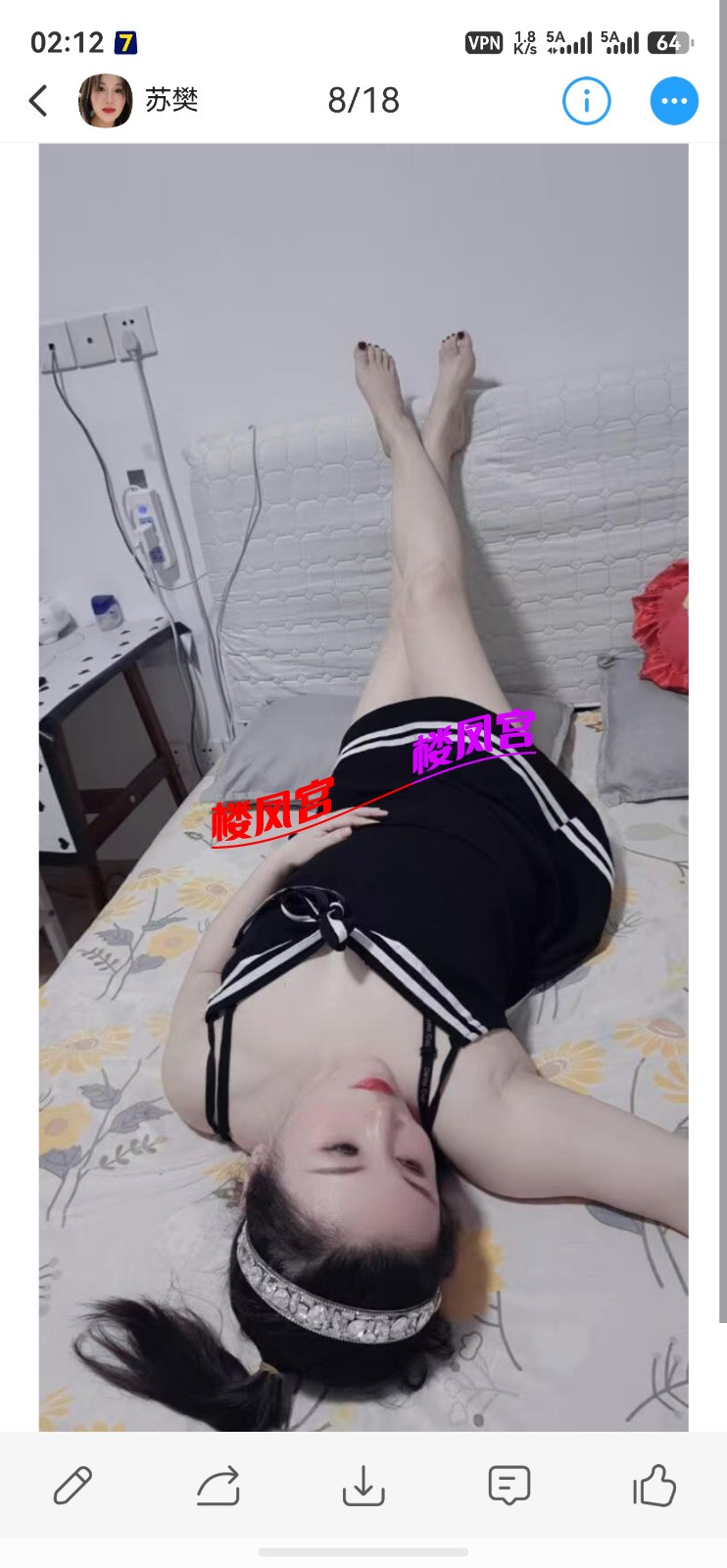 36936.jpg