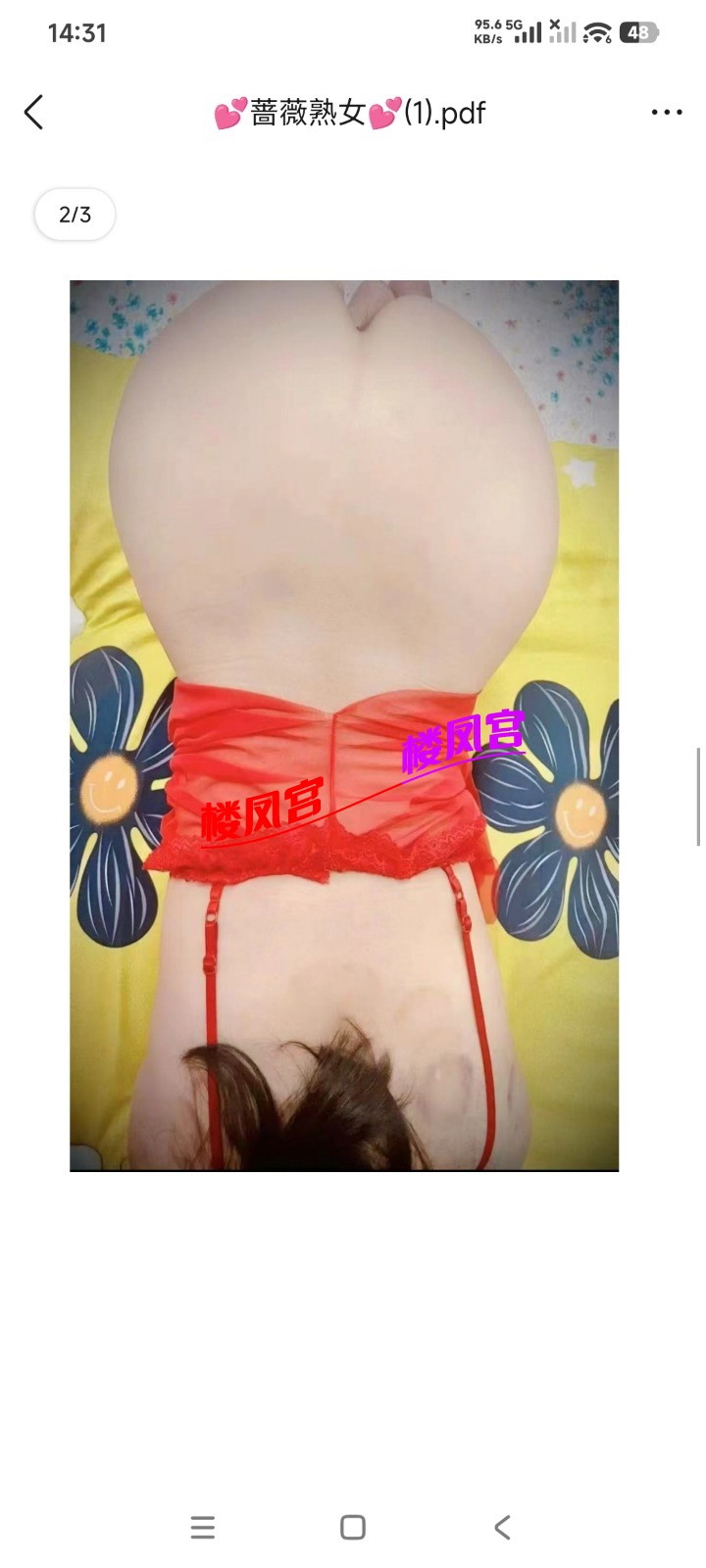 1000009351.jpg