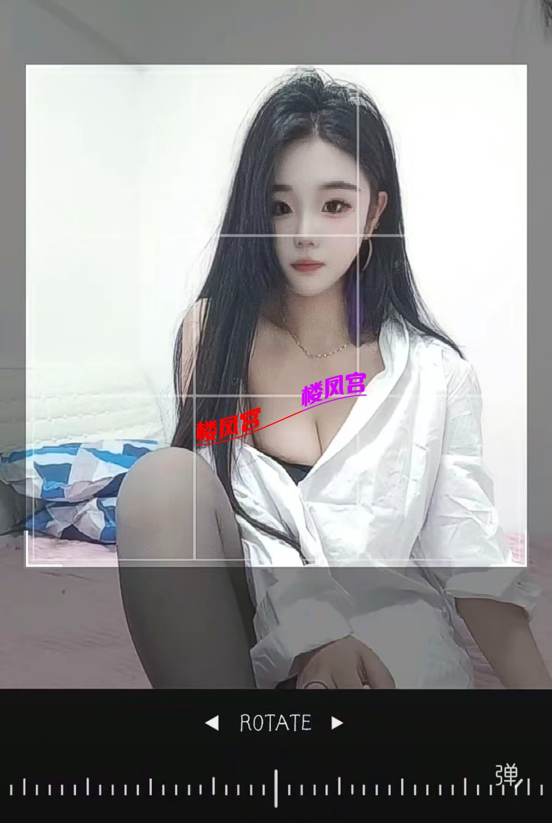 14031.jpg