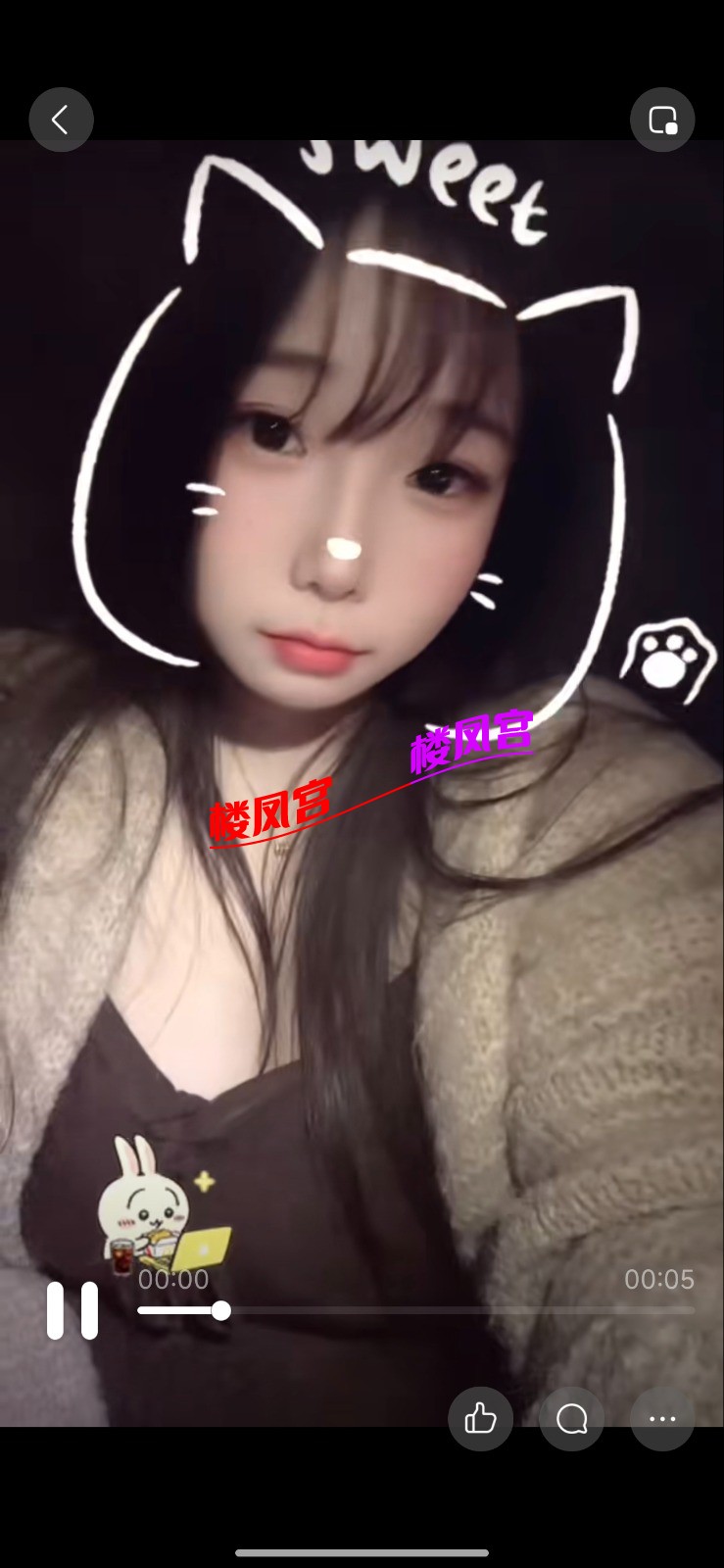 537.jpg