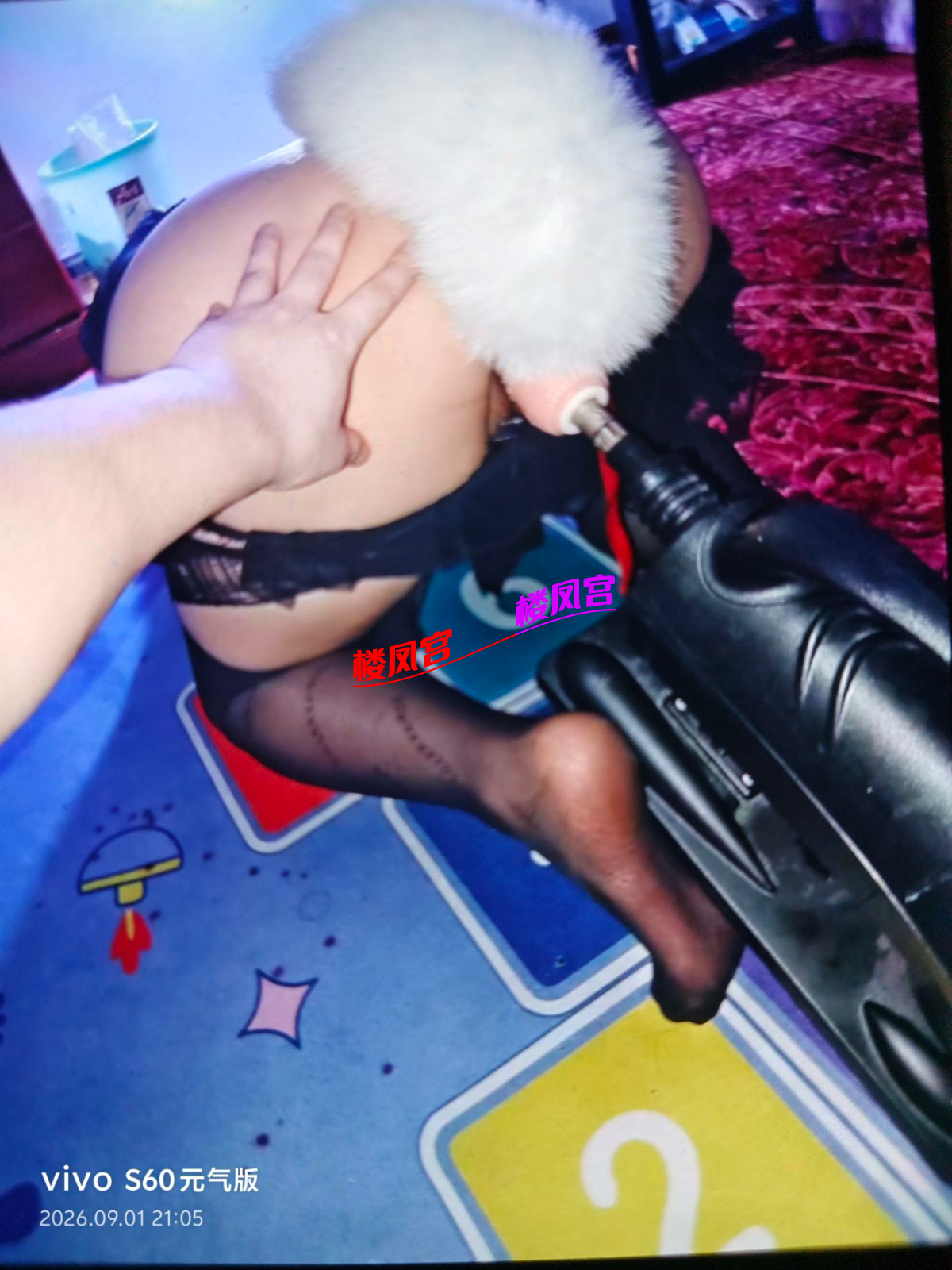 94C59EE5631C529277E30B9A89F24FC3.png