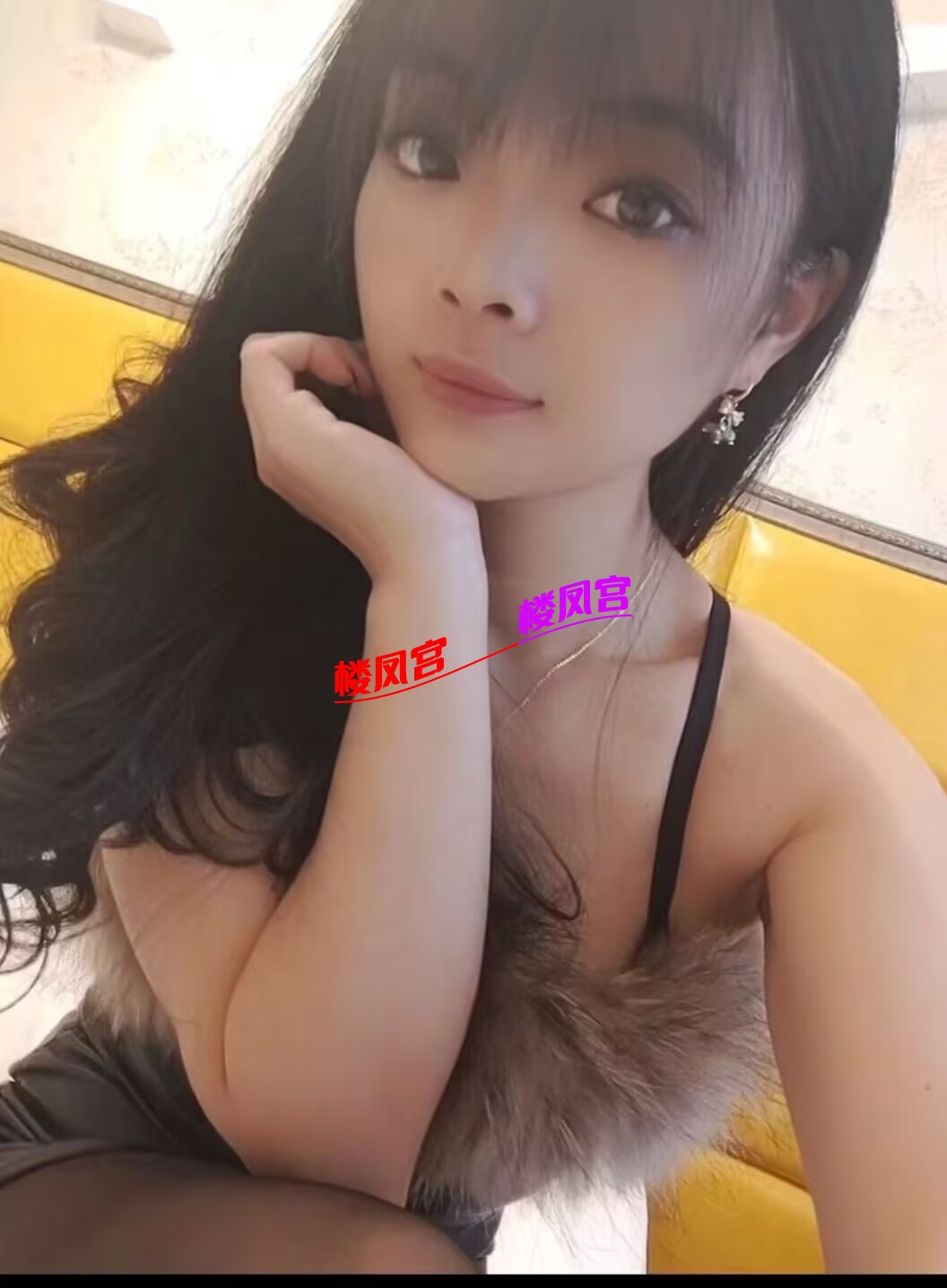 69245.jpg