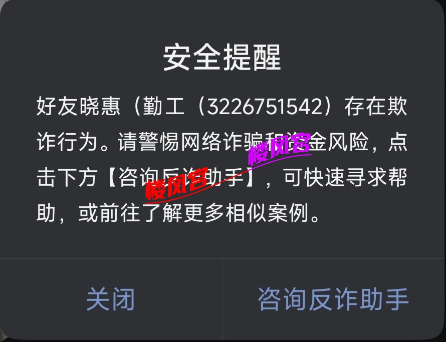 1000020731.jpg