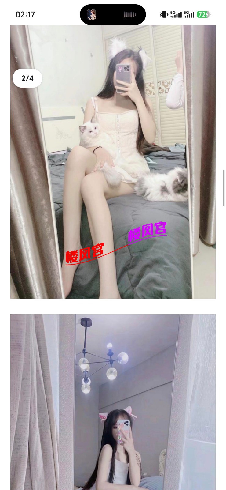 70835.jpg