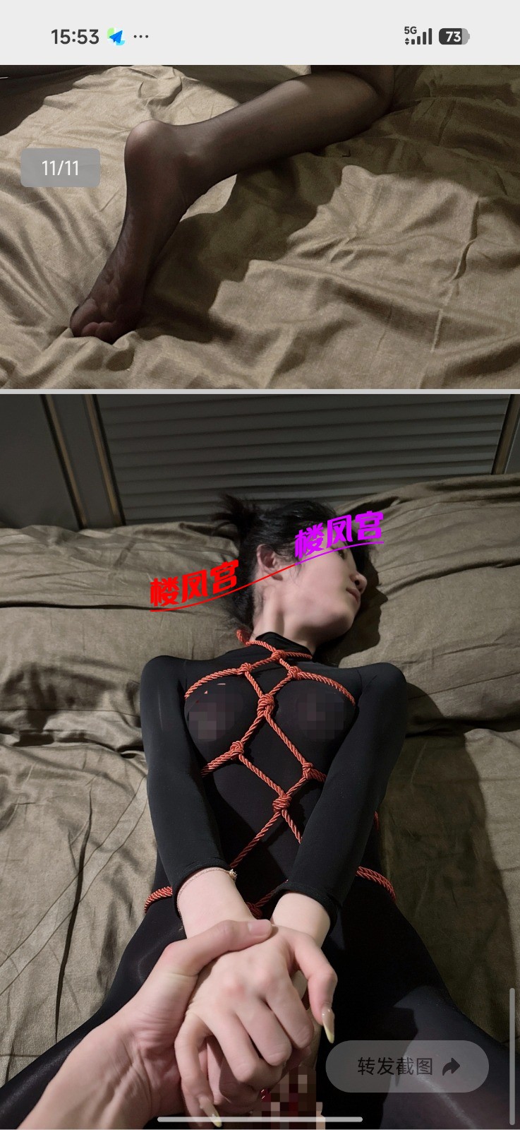 440.jpg