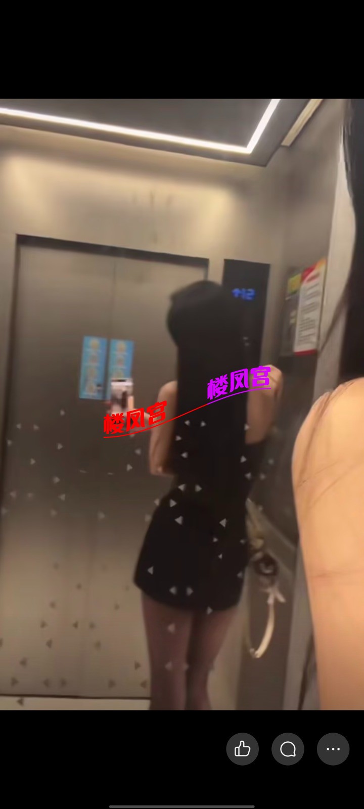 1000138237.jpg