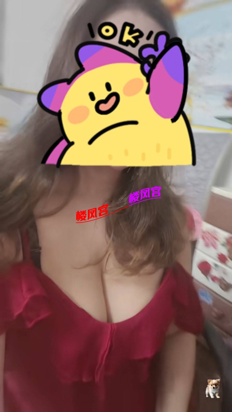 IMG_5597.jpeg